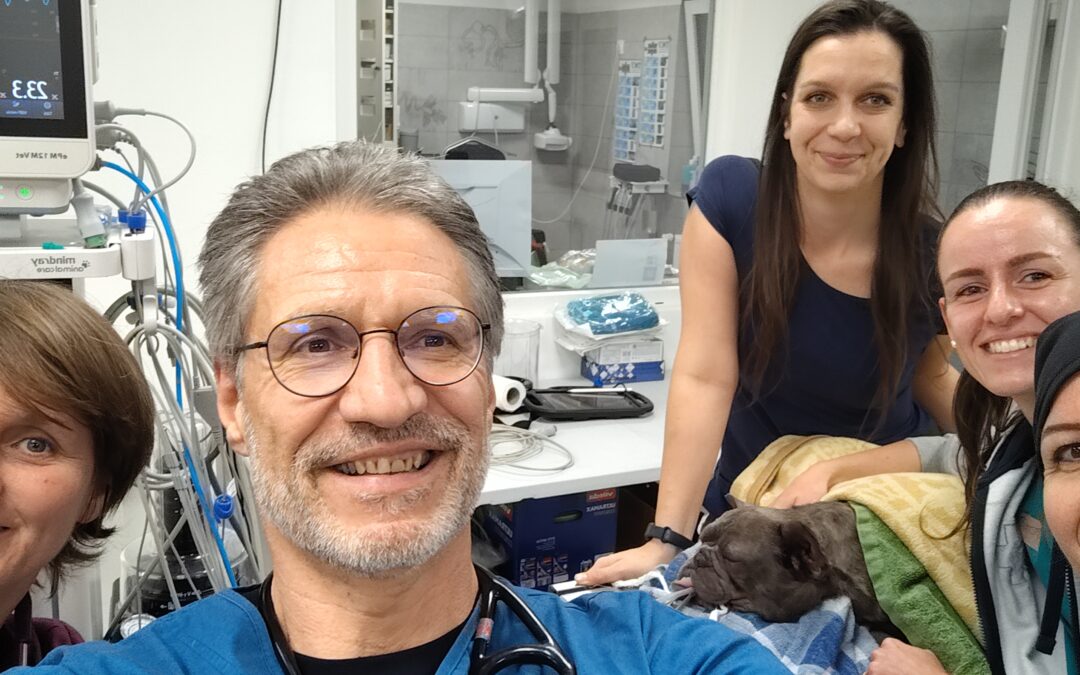 Gyakorlati aneszteziológiai képzés Vácon 2025.11.09.