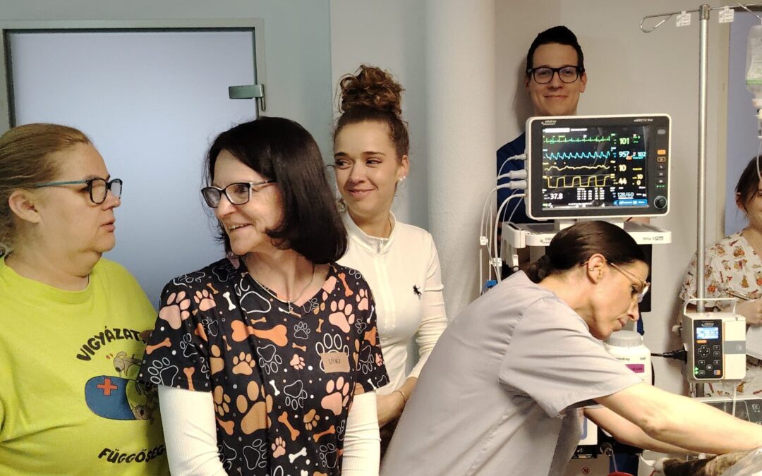 Gyakorlati aneszteziológiai képzés Vácon 2026.03.28.