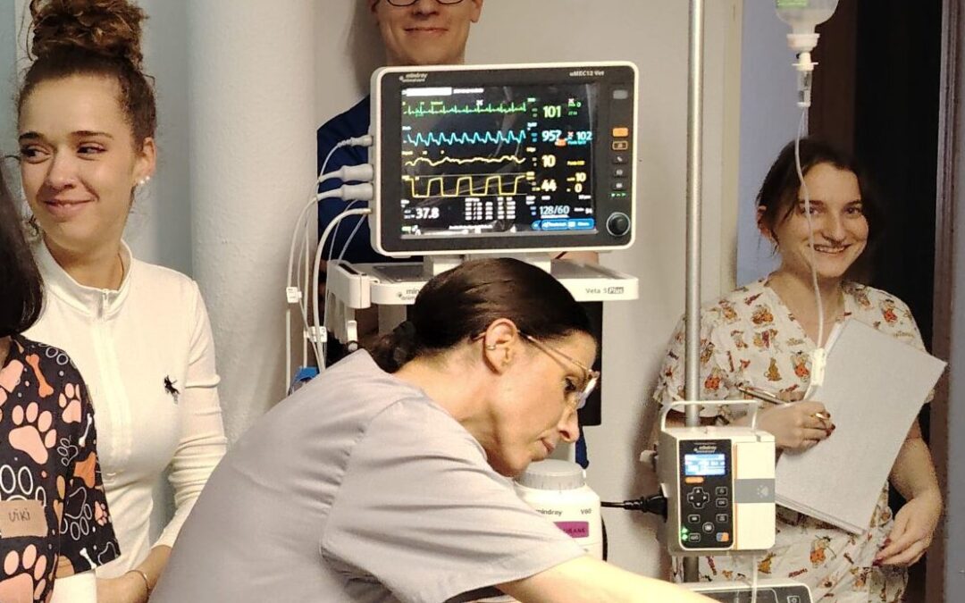 Gyakorlati aneszteziológiai képzés Vácon 2026.03.28.